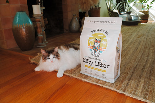 All-Natural Coconut Clumping Cat Litter