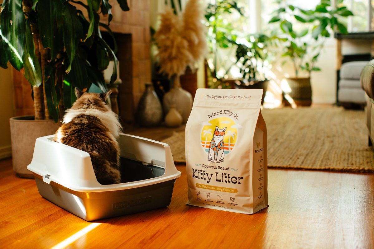 Cats Love It More Than Clay