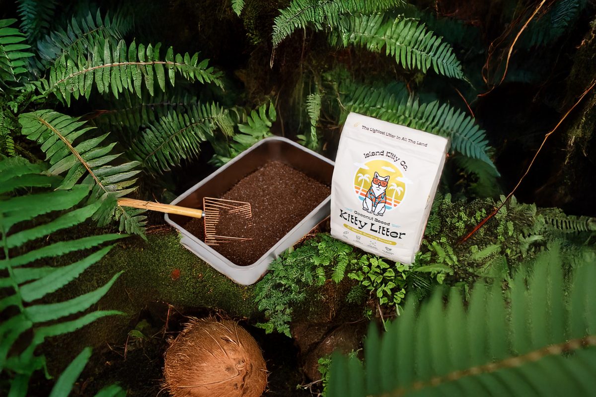 Dust Free Coconut Formula